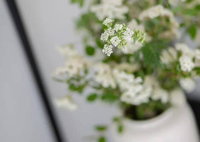 Luxus-ferienwohnung Ds11 Apartment Fehmarn